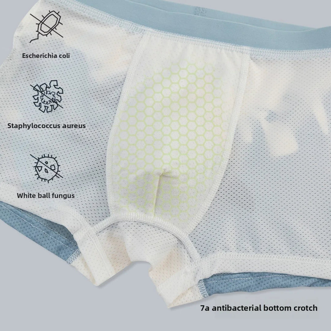 DW WEARS - KIDS BOXER ( SHARK )